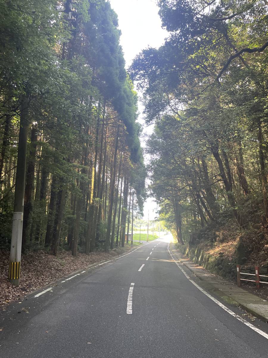 開聞岳から開聞駅へ歩いた森の道