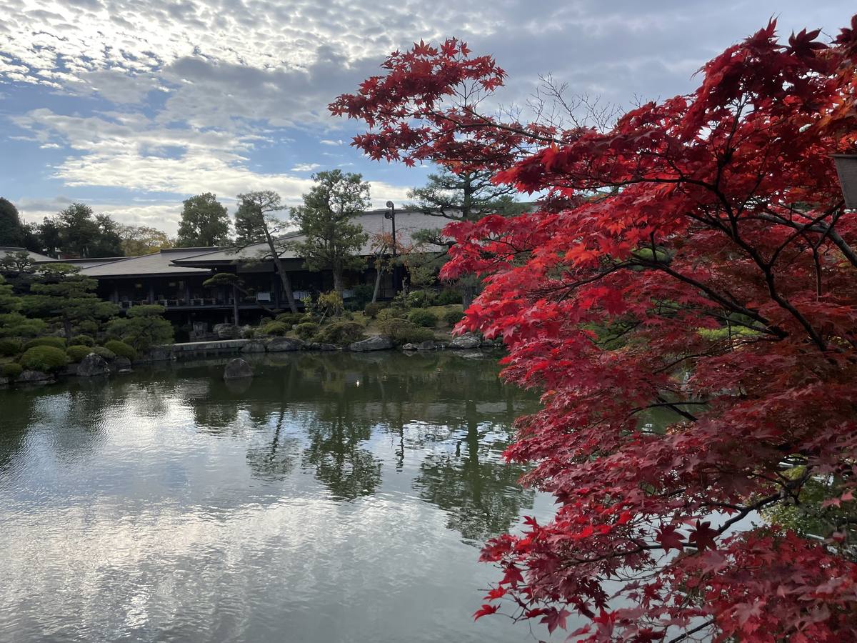 泰平閣から見た平安神宮神苑の池と紅葉
