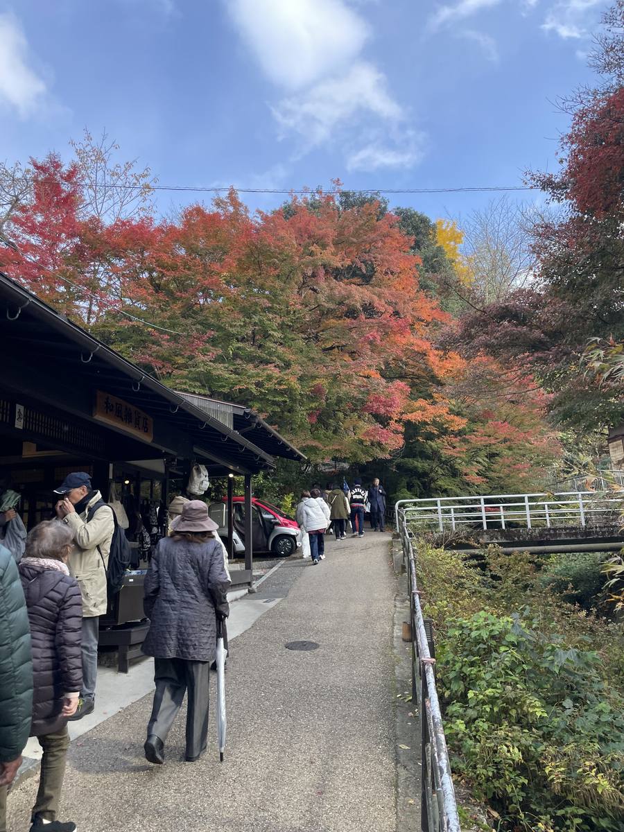 三千院へ向かう参道