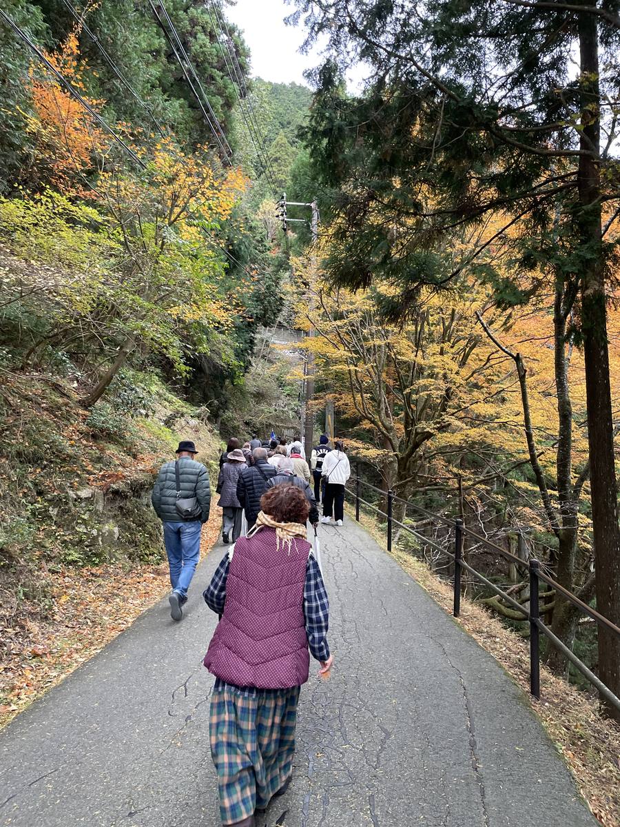 延暦寺の杉林の中の坂道