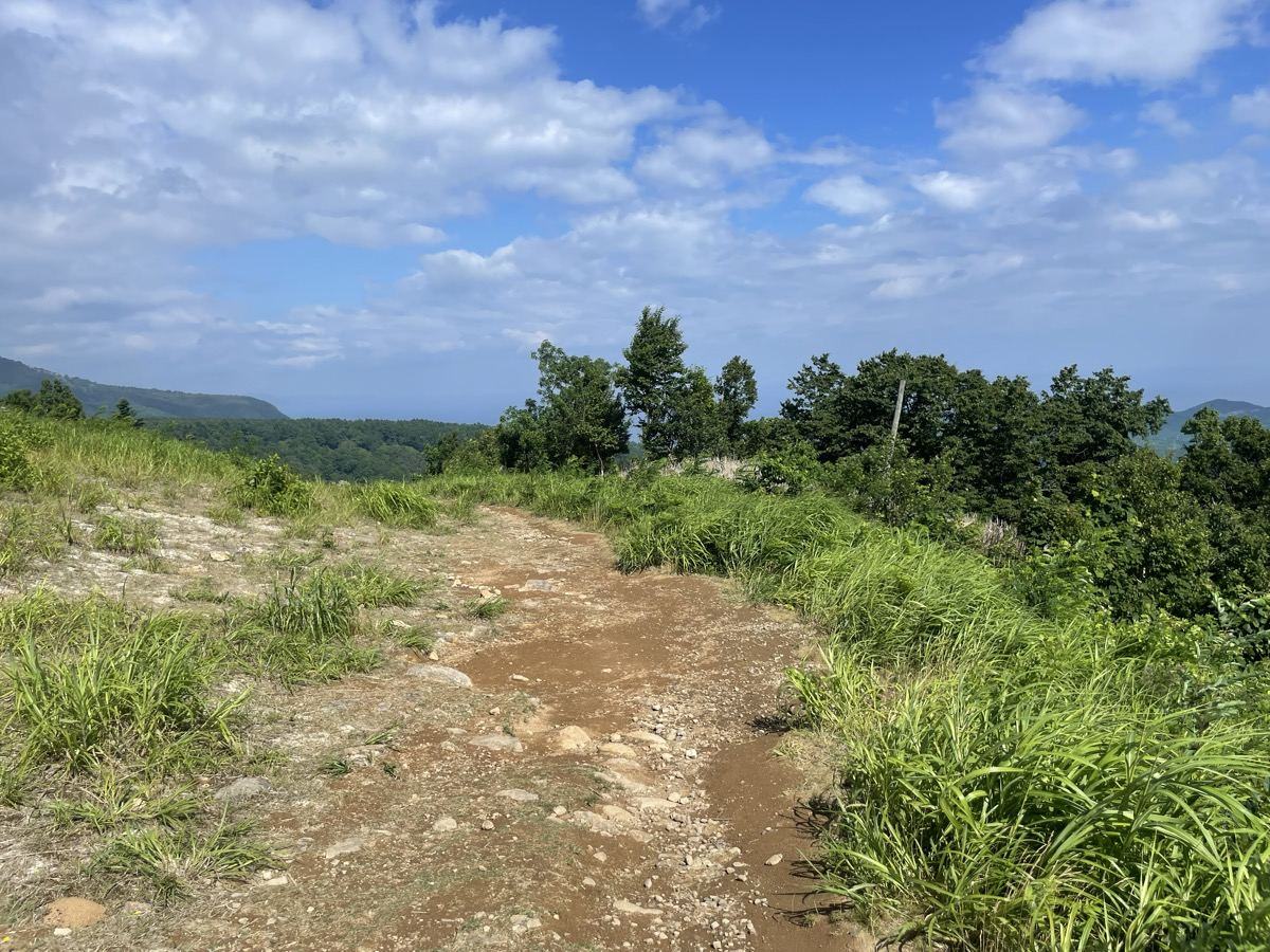 天狗山の草が生えた登山道